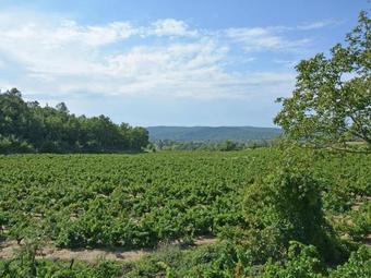 Luxurious Villa In Saint-laurent-de-carnols