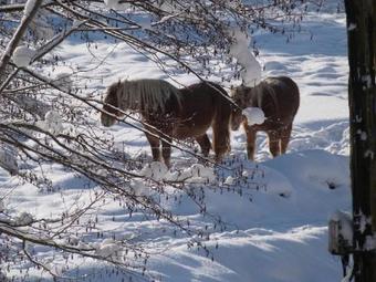 Albergue Gite De L'escolan