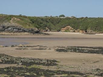 Delfryn, Sir Ynys Mon