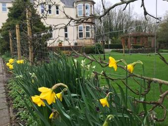 Bed & Breakfast Holywell House B & B