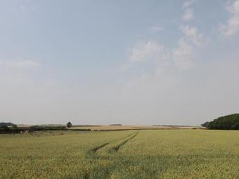 Corner View, Driffield
