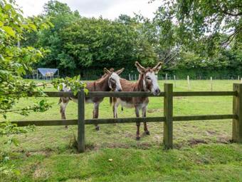 Holiday Home Balmoral