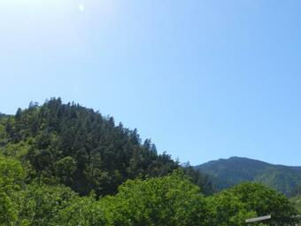 Hostal Zviad Guest House