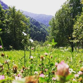 Hostal Guesthouse In Utsera