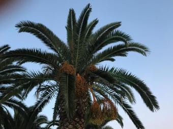 Marinis Boutique Aparthotel