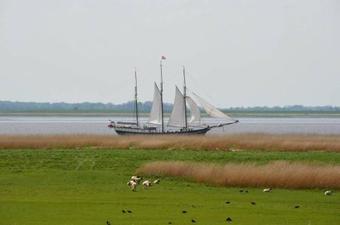 Apartamento Auszeit Am Elbdeich In Sankt Margarethen - [#110642]
