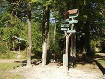 Holiday Home In Sankt Kilian 3196