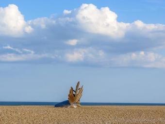 2 Suffolk Cottage, Knodishall