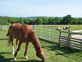 1 The Stables