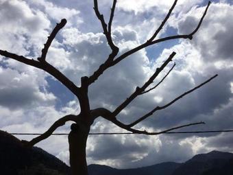 Hostal Guesthouse Amalia