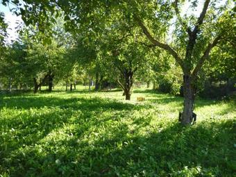 Hostal Pansion Gec II