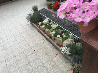 Abszol�t Hotel �s Panzi�