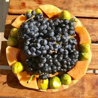 Skadar Lake Apartments Pajovic