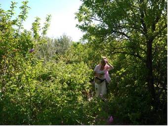 Bed & Breakfast Kasbah Chems