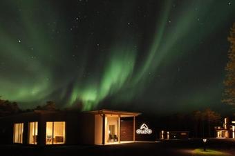 Apartamento Gl�d Pine Forest Lodging