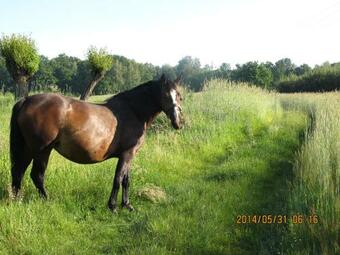 Agroturismo Przytulisko Pod Strzech?