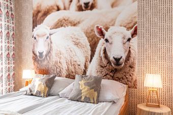 Hostal Gronik
