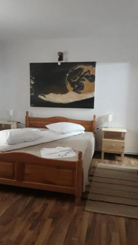 Hostal Pensiunea Geo Ranca