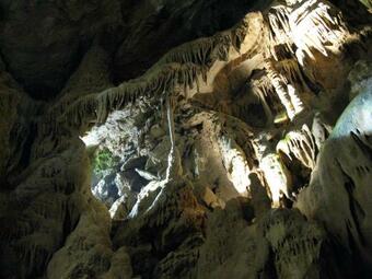 Bed & Breakfast Apartments Izvor Lisine