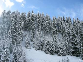 Krasi Apartments In Zornitsa Complex