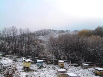 Hostal Guest House U Rodnika