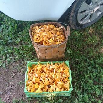 Agroturismo Rannalla