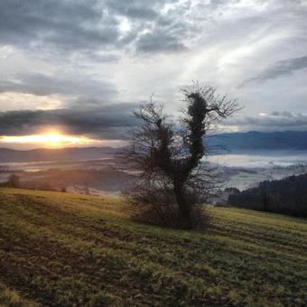 Lodge Romantic Cottage House