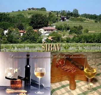 Agroturismo Farm Stay ?ibav B&B