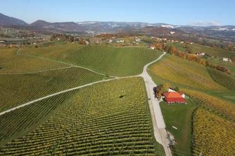 Apartamento Wine Grower's Mansion Zlati Gric