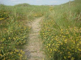 Hostal Seasons Lodge Guesthouse