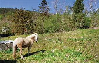 Holiday Home �lve �lvesvegen