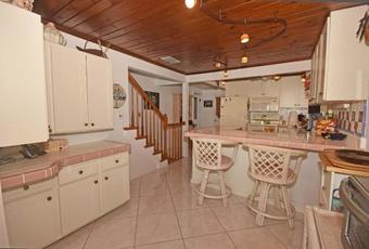 Audreys Paradise 8434