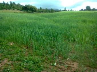 Bed & Breakfast Tatfi De L'atlas