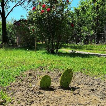 Homestay By The Sea Amarial