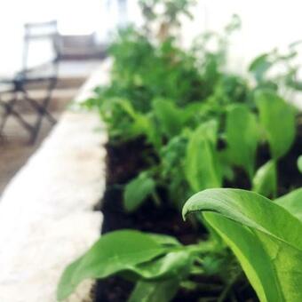 Bed & Breakfast The Richmond Cafe And Rooms