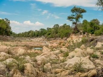 Lodge Simbavati Machaton Camp