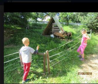 Hostal Apartments And Tents Silva