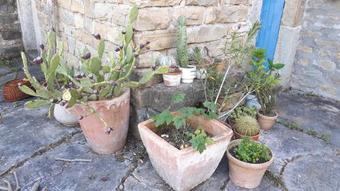 Apartamento Relax Country Haus Laguna 96