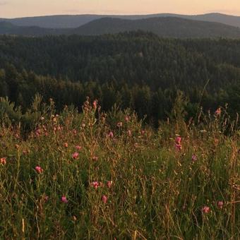 Hotel Eco Sadiba Kaskad