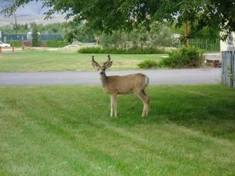 Holiday Lodge Rv & Campground