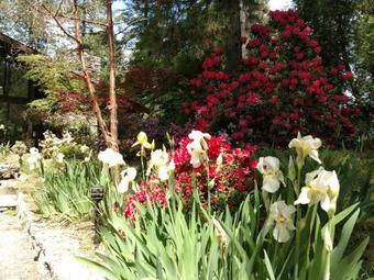 Bed & Breakfast Ponderosa Ridge A B & B