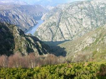 Hotel O Casino Da Rasa