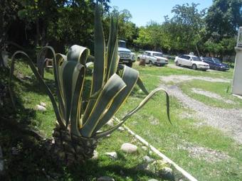 Hostal Guest House On Abzhuiskoe Shosse 42