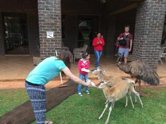 Woodridge Palms Boutique Hotel