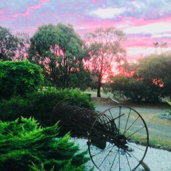 Fairy Wren Apartment