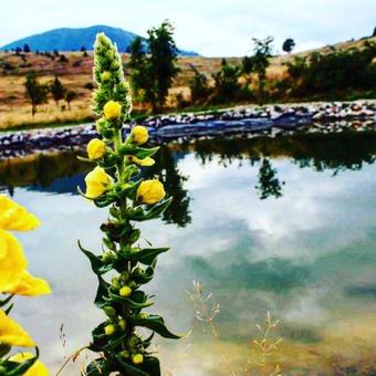 Villa Mountain House Varda