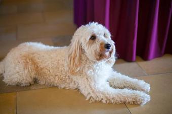 Landgasthof-hotel Zum Steverstrand