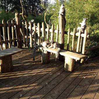 Bed & Breakfast Coeur Et Nature