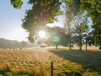 Ladignac-le-long Villa Sleeps 5 Pool Wifi