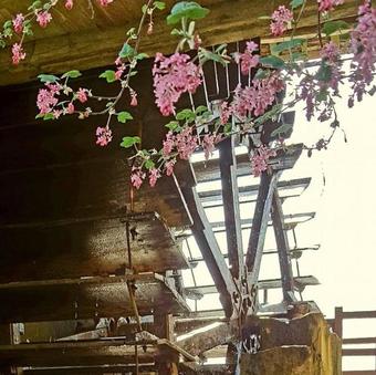 Agroturismo Moulin De Janlard